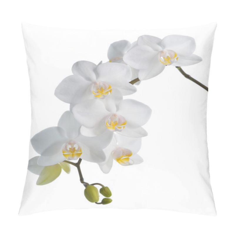 Personality  White Orchid Isolated On White. Pillow Covers