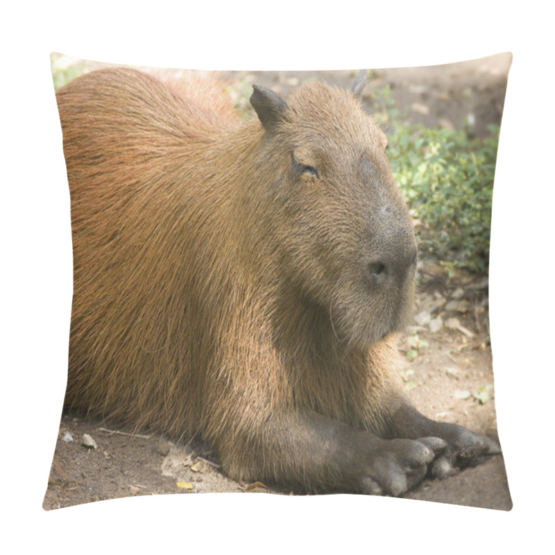 Personality  Capybara Profile Pillow Covers