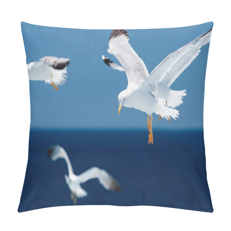 Personality  Seagulls In Flight Over Blue Sea Pillow Covers