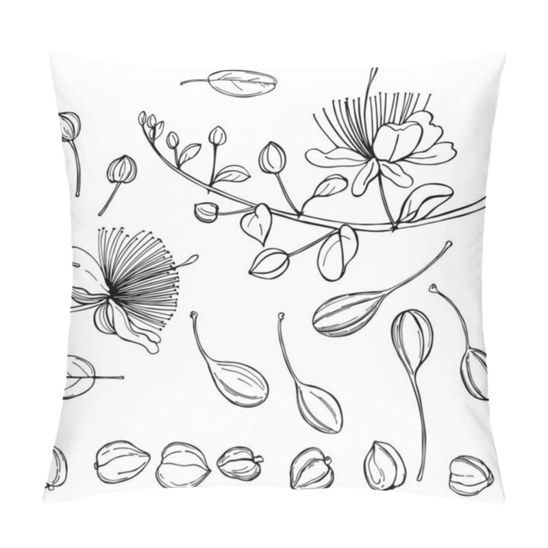 Personality  Hand Drawn Caper Plant  With Flowers. Pillow Covers