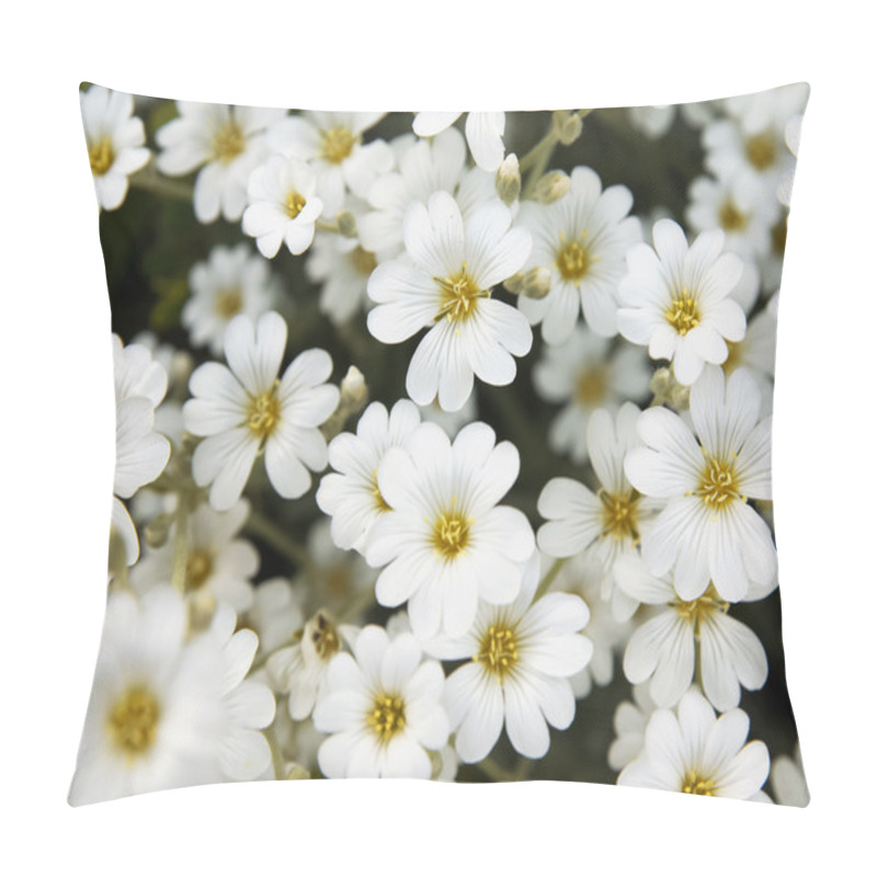 Personality  Little White Flowers Pillow Covers