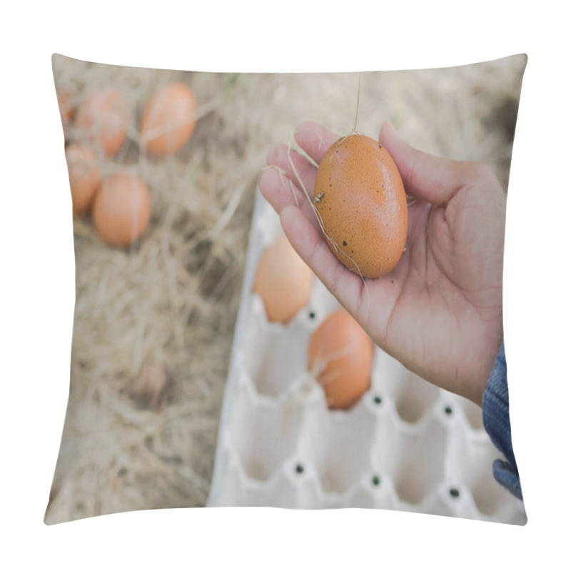 Personality  Farmer Hand Holding Egg On Blur Image Of Eggs On Hay With Paper Egg Panel. Organic Chicken Raising. Don't Use Chemicals. Organic Farmer Concept. Pillow Covers