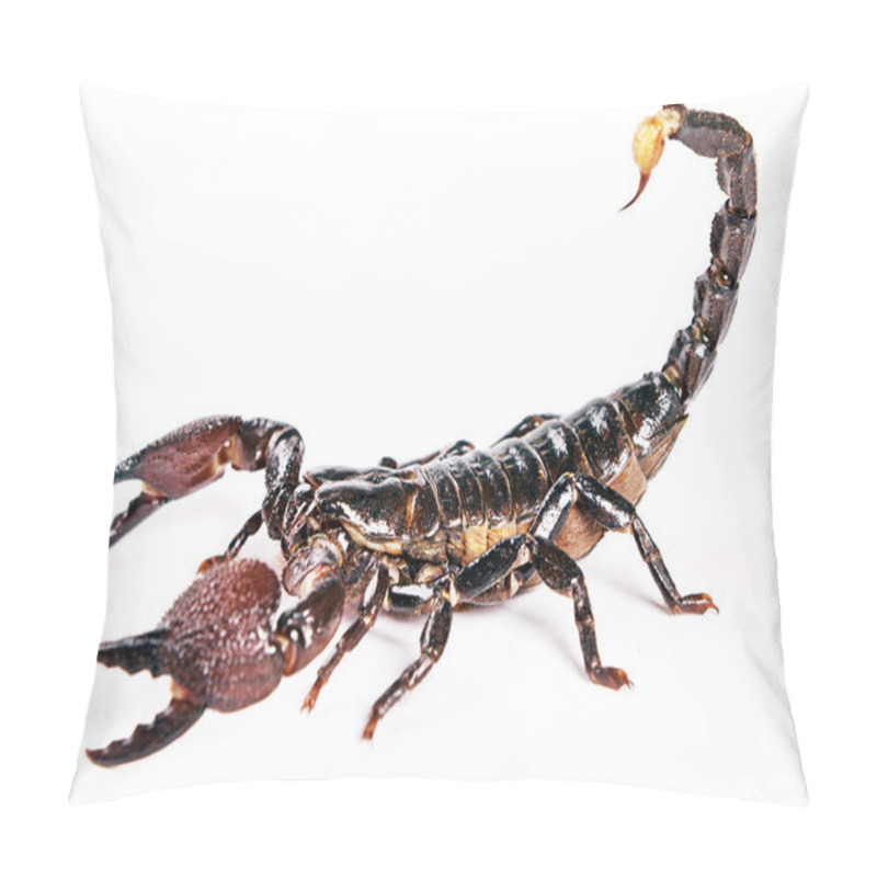 Personality  Scorpion Pillow Covers