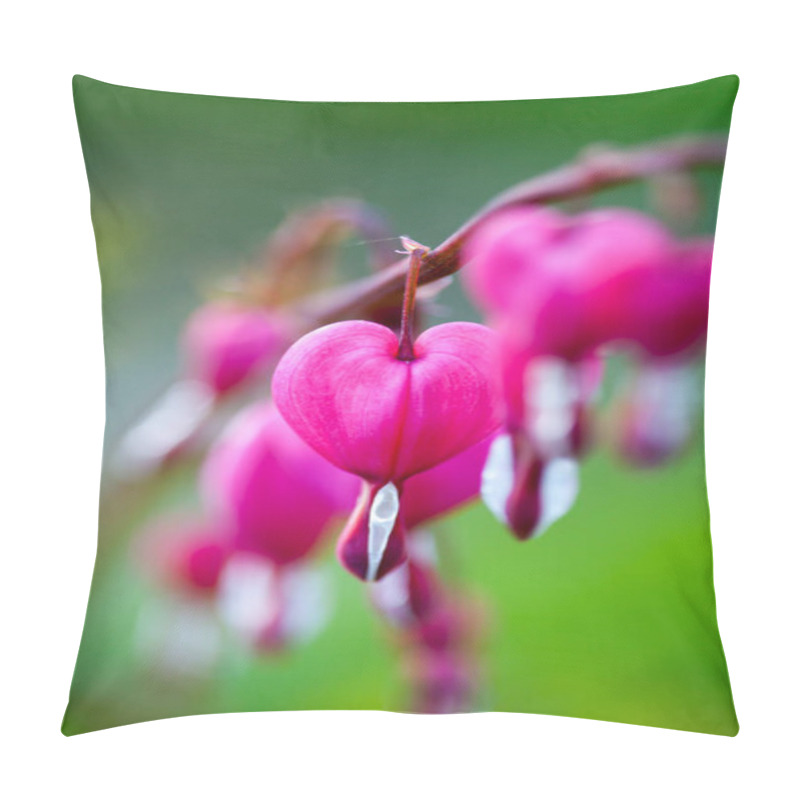 Personality  Pink Bleeding Heart Flower  Pillow Covers