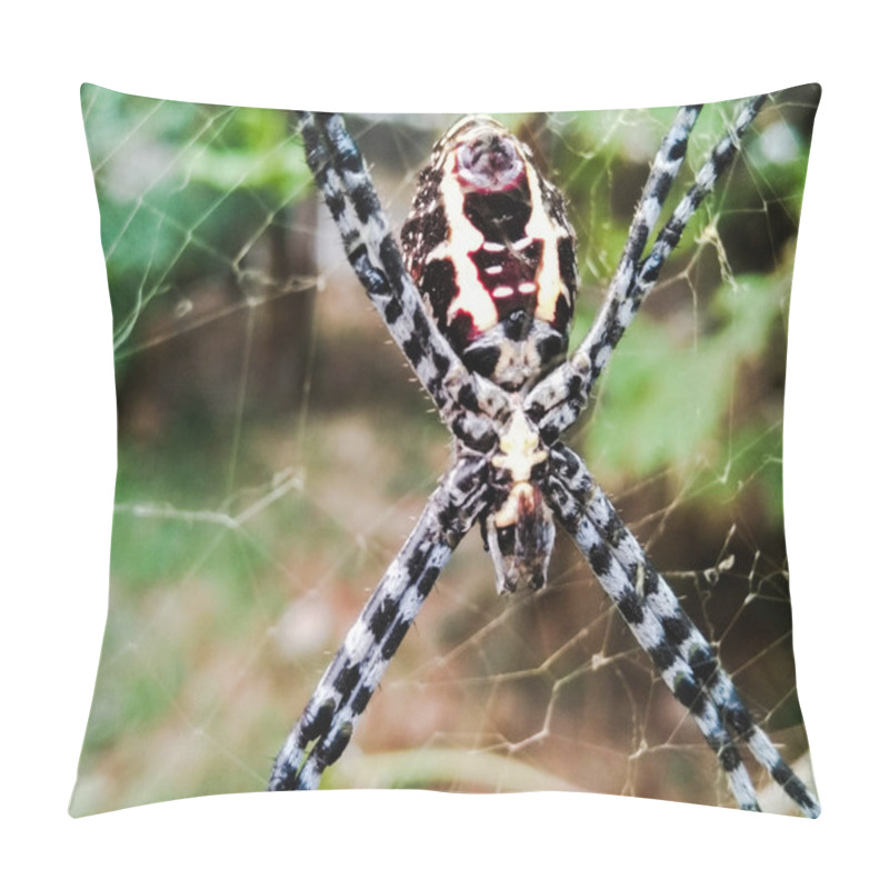 Personality  A Picture Of Spider Pillow Covers