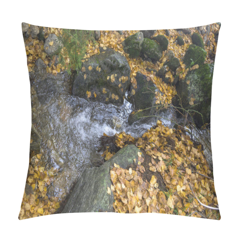 Personality  Natural Moss In High Mountain Stream With Many Yellow Fallen Leaves In Autumn Pillow Covers