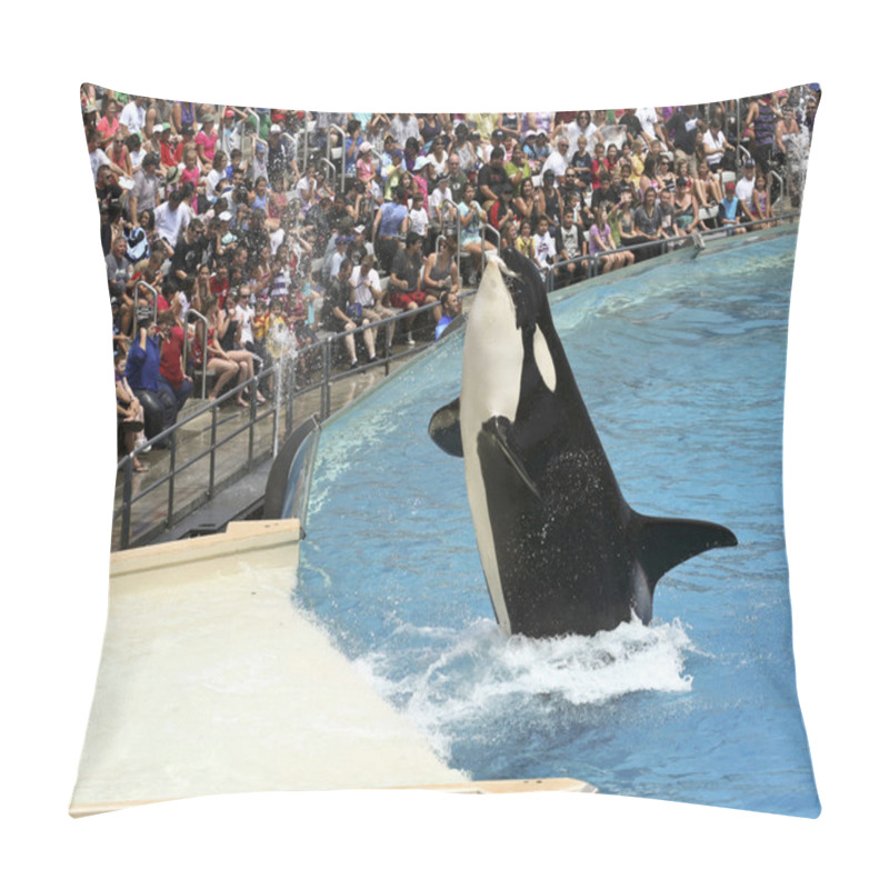 Personality  A Killer Whale Catches A Fish In An Oceanarium Show Pillow Covers