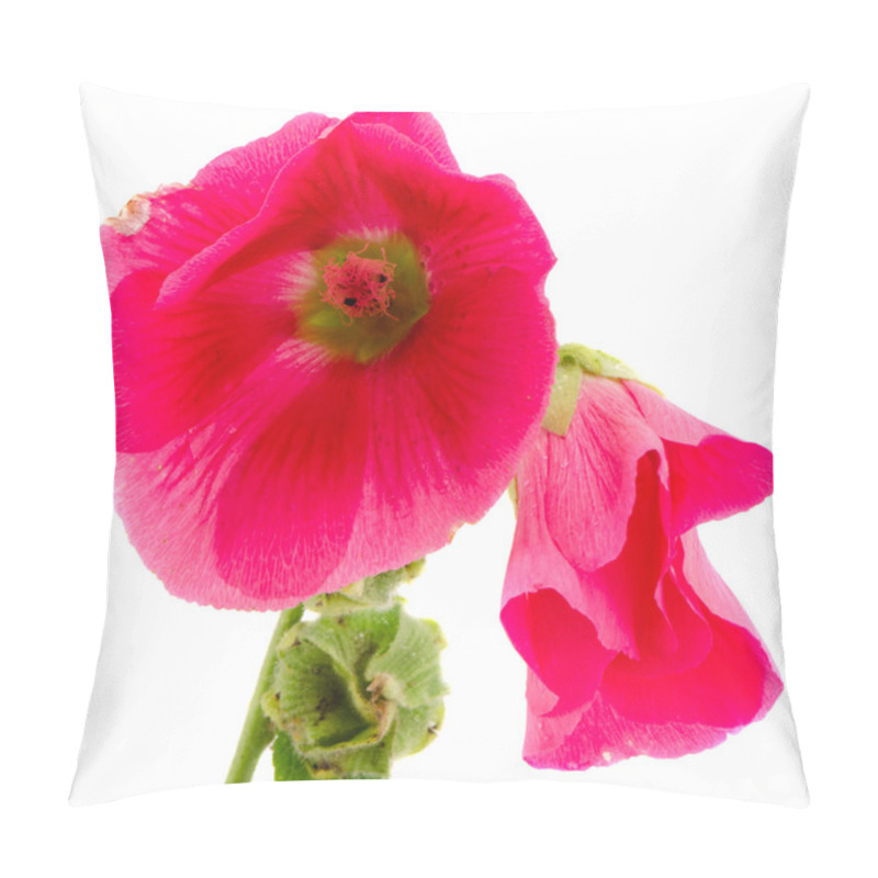 Personality  Mallow Flower Red Plant Bloom Isolated On White Pillow Covers