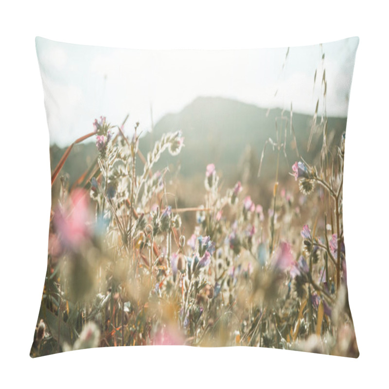 Personality  Sunny Day On The Flowers Meadow. Beautiful Natural Background. Pillow Covers