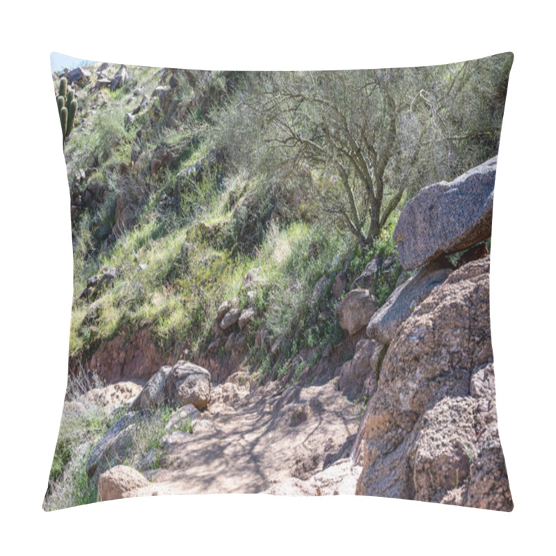 Personality  Cholla Trail Trail Down From Camelback Mountain In Phoenix, Arizona With Gentle Ascent . High Quality Photo Pillow Covers