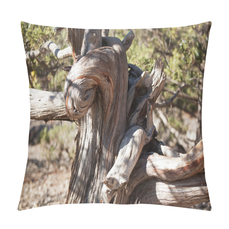 Personality  Wizened Old Tree Trunk Pillow Covers