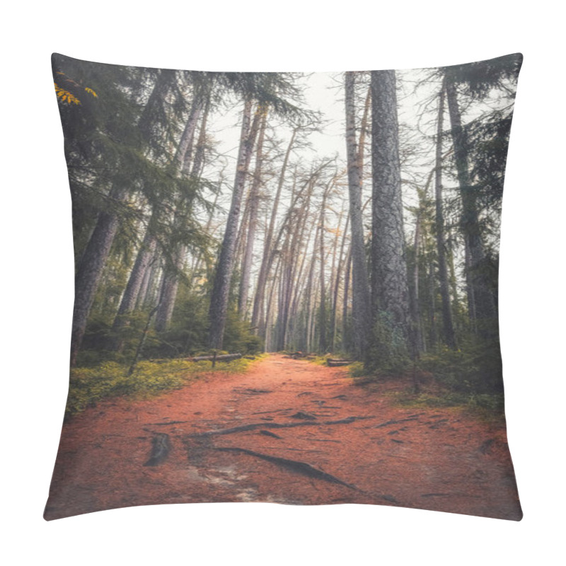 Personality  The Trail In The Lindulovskaya Grove With Larch Trees In Late Autumn Pillow Covers