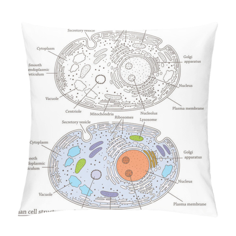 Personality  Vector Medicinal Flat Illustration With Human Cell Structure Pillow Covers