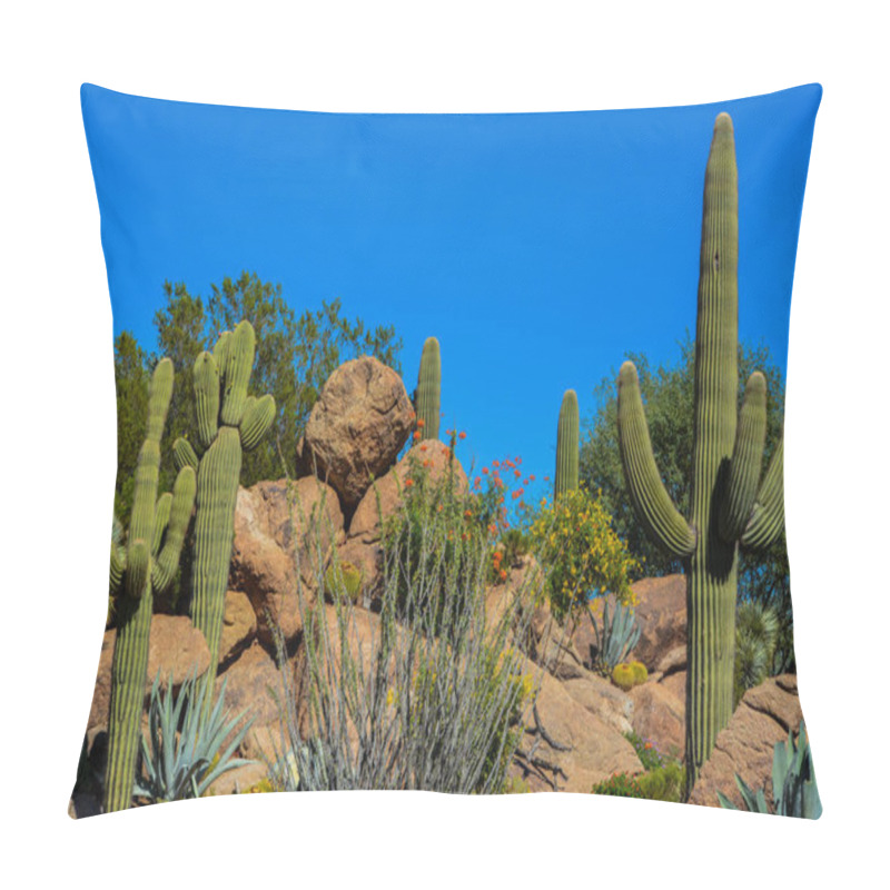 Personality  Desert Cactus Landscape In Arizona Pillow Covers