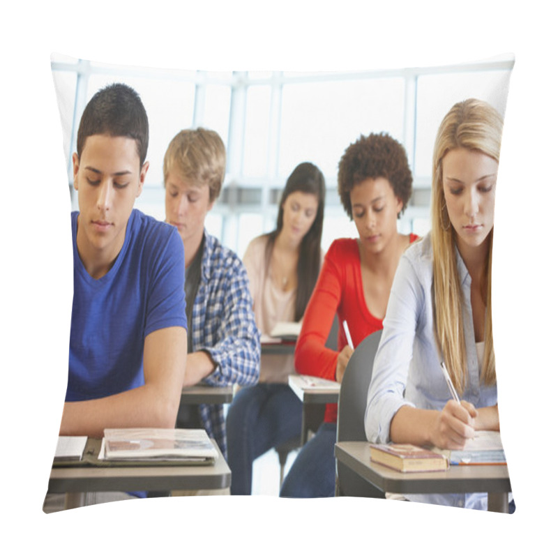 Personality  Multi Racial Teenage Pupils In Class Pillow Covers