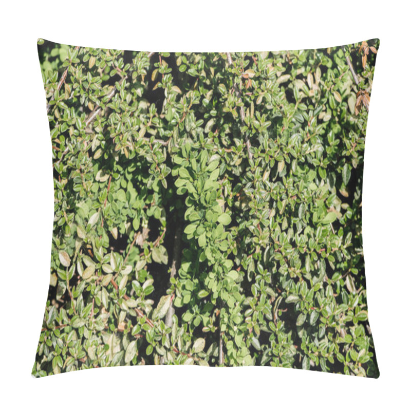 Personality  Full Frame Image Of Branches With Green Leaves Background Pillow Covers