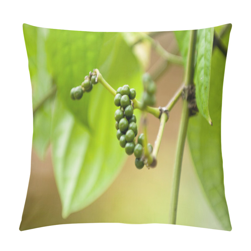 Personality  Pepper Ripening On Plant Pillow Covers