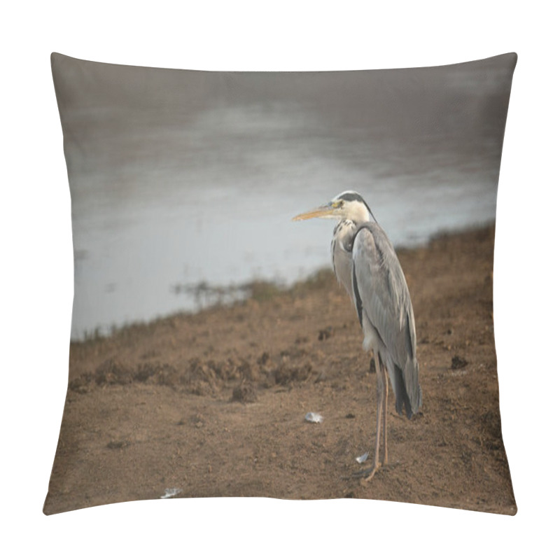 Personality  Grey Heron ( Ardea Cinerea ) Pilanesberg National Park, South Africa  Pillow Covers