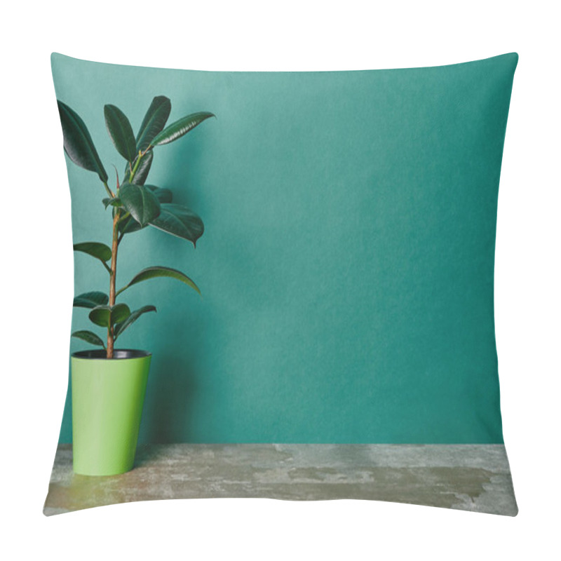 Personality  Ficus Plant In Flowerpot On Green Background Pillow Covers