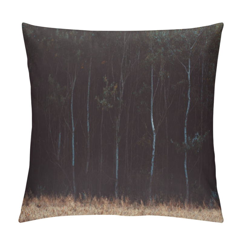 Personality  Photo Of Dark Woodland Pillow Covers