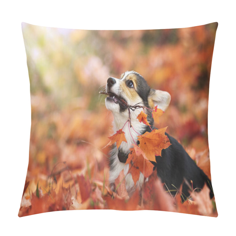 Personality  Welsh Corgi Puppy In Autumn Leaves Pillow Covers