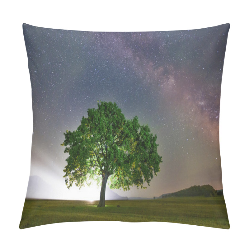 Personality  Lonely Tree On Field Under Milky Way Galaxy, Dobrogea, Romania Pillow Covers