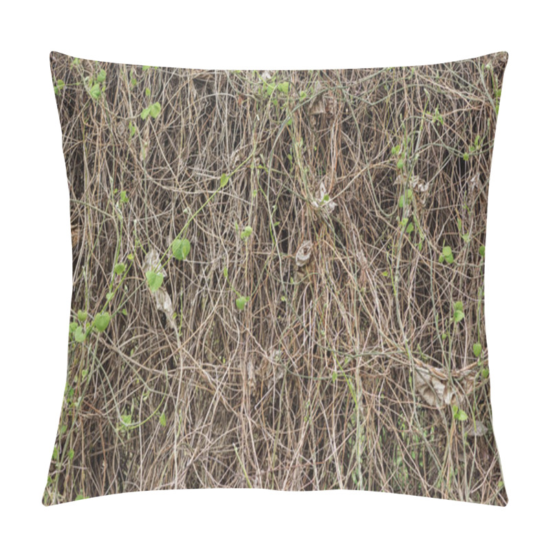 Personality  Brown Dry Plants With Small Green Leaves Pillow Covers