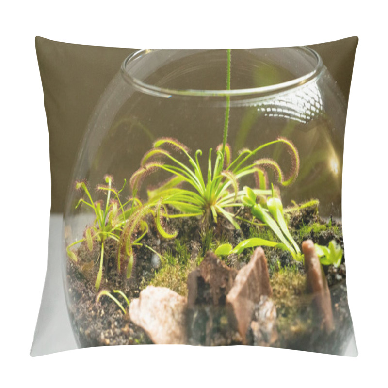 Personality  Florarium With Different Kinds Of Plants. Home Decoration Pillow Covers