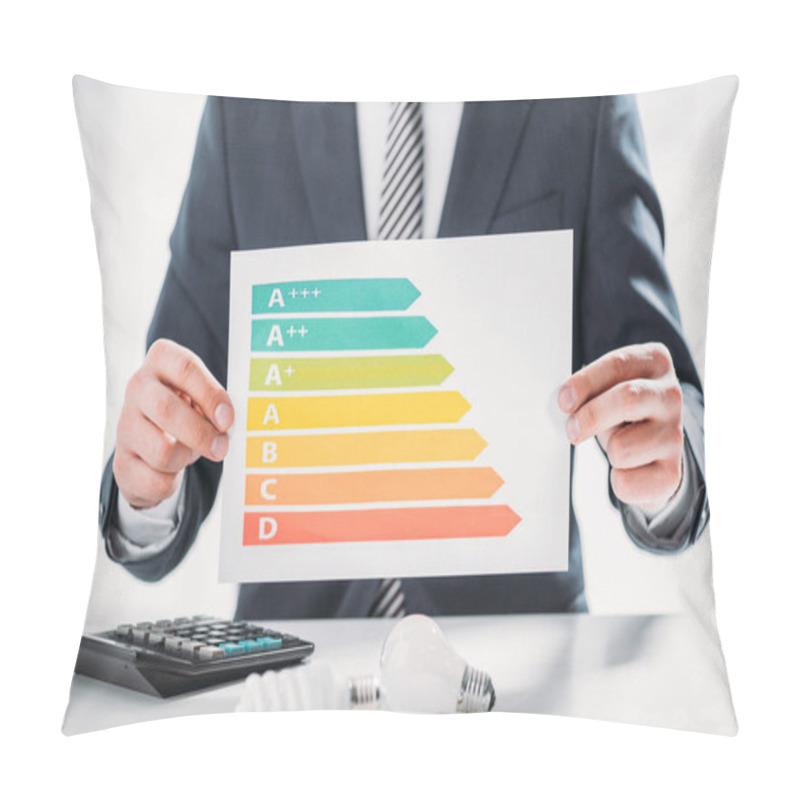 Personality  Cropped View Of Businessman In Suit Holding Charts And Graphs Near Fluorescent Lamps And Calculator On White Background, Energy Efficiency Concept Pillow Covers