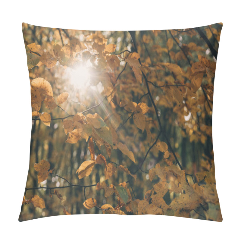 Personality  Selective Focus Of Tree Branches With Sunlight In Forest Pillow Covers