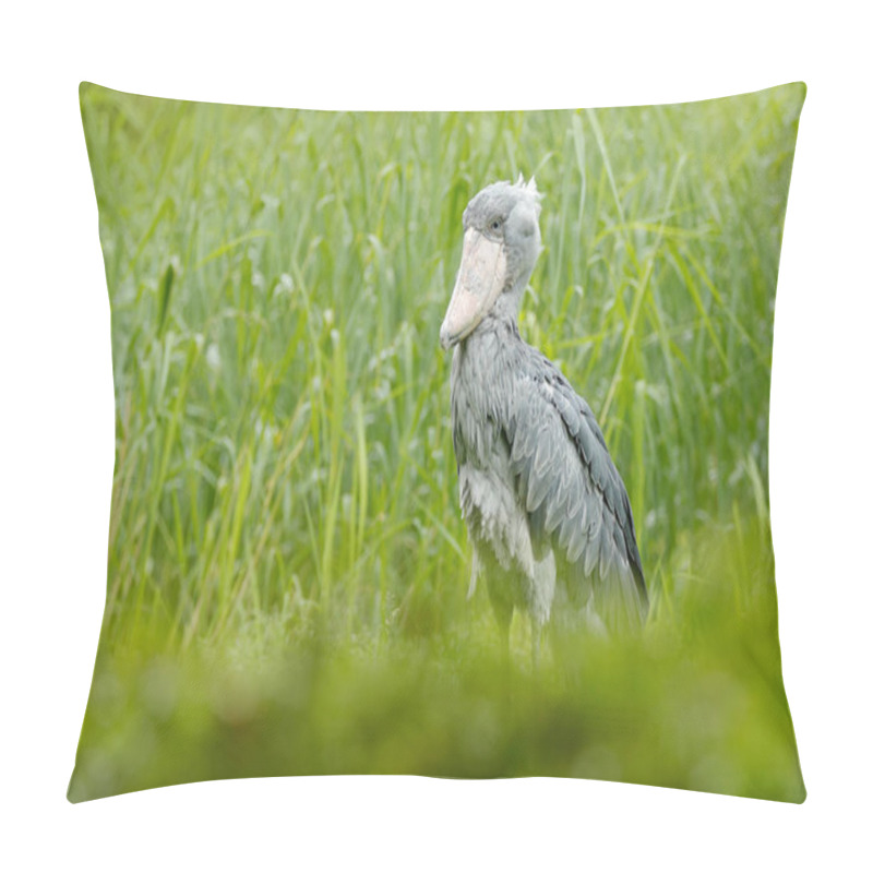 Personality  Shoebill In Nature Habitat Pillow Covers