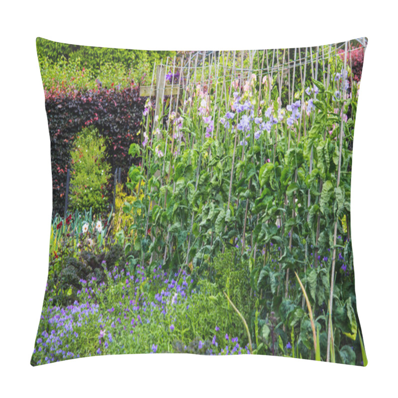 Personality  Sweet Pea Growing In The Home Garden  Pillow Covers