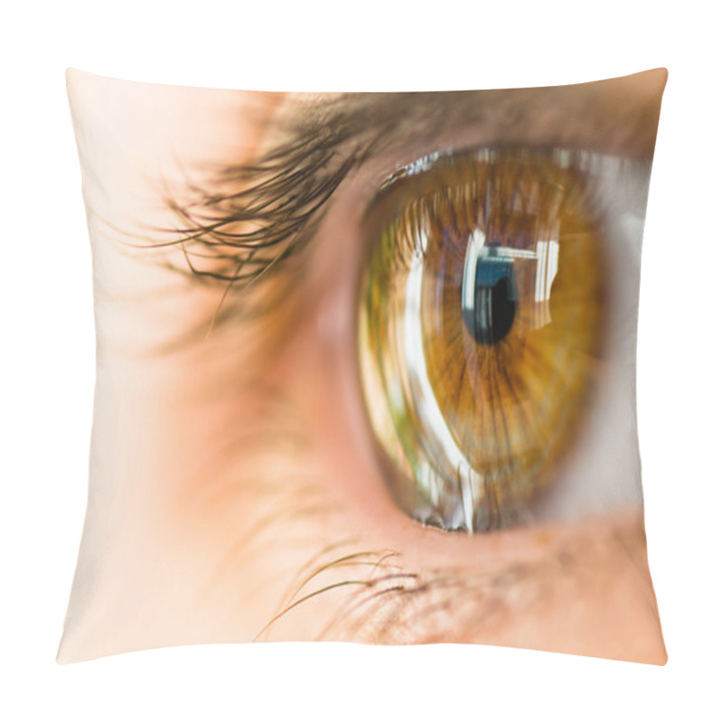 Personality  Brown Eye Pillow Covers