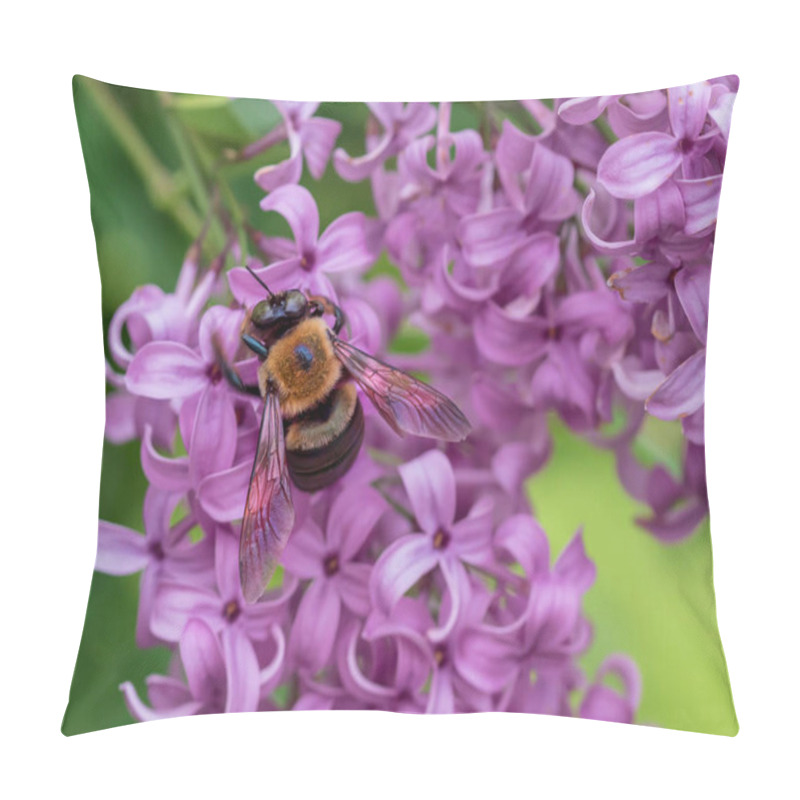 Personality  Vibrant Black And Yellow Bumblebee On Purple Lilac Bush In Spring Pillow Covers