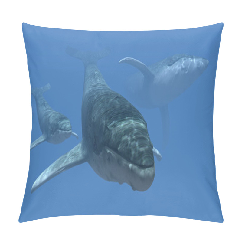 Personality  Three Whales Pillow Covers