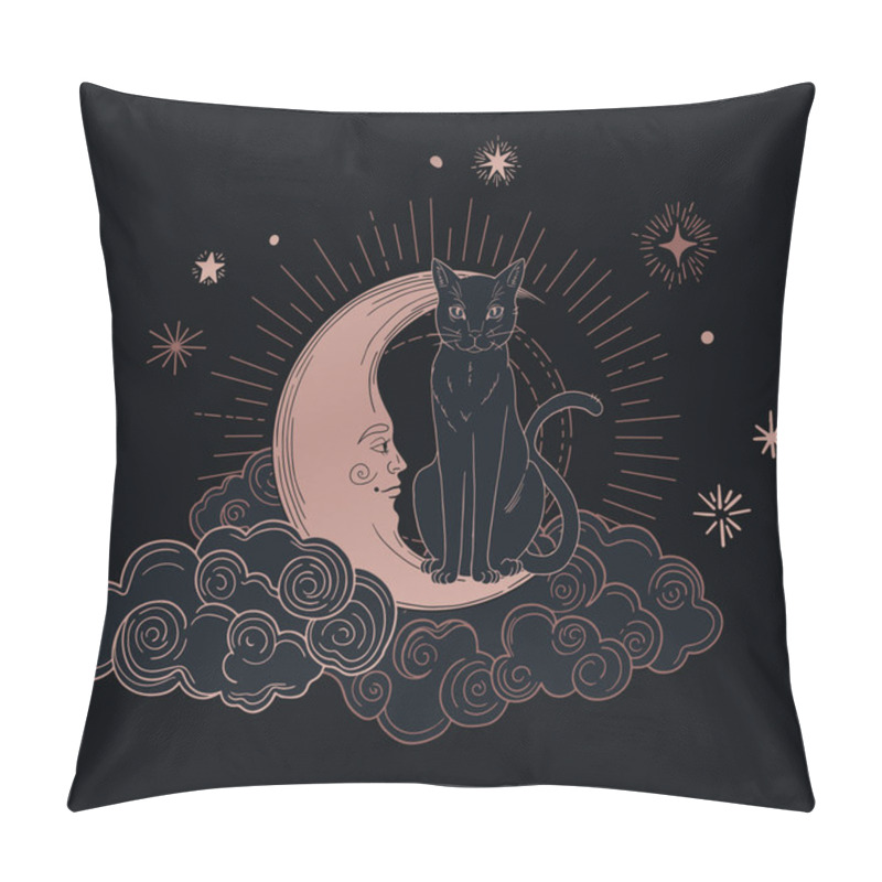 Personality   Illustration Of Mystic Cat With Mystic Space And Moon Pillow Covers