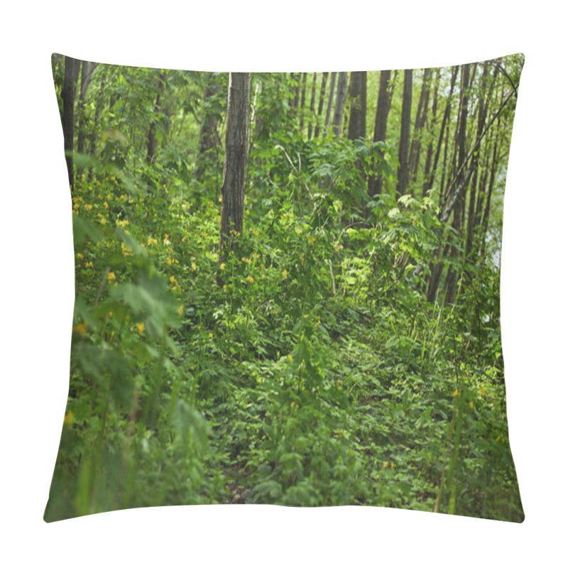 Personality  Green Plants, Trees And Grass In Summer Forest Pillow Covers