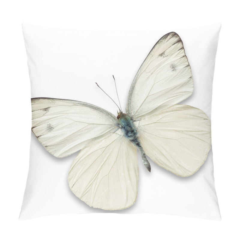 Personality  White Butterfly Pillow Covers