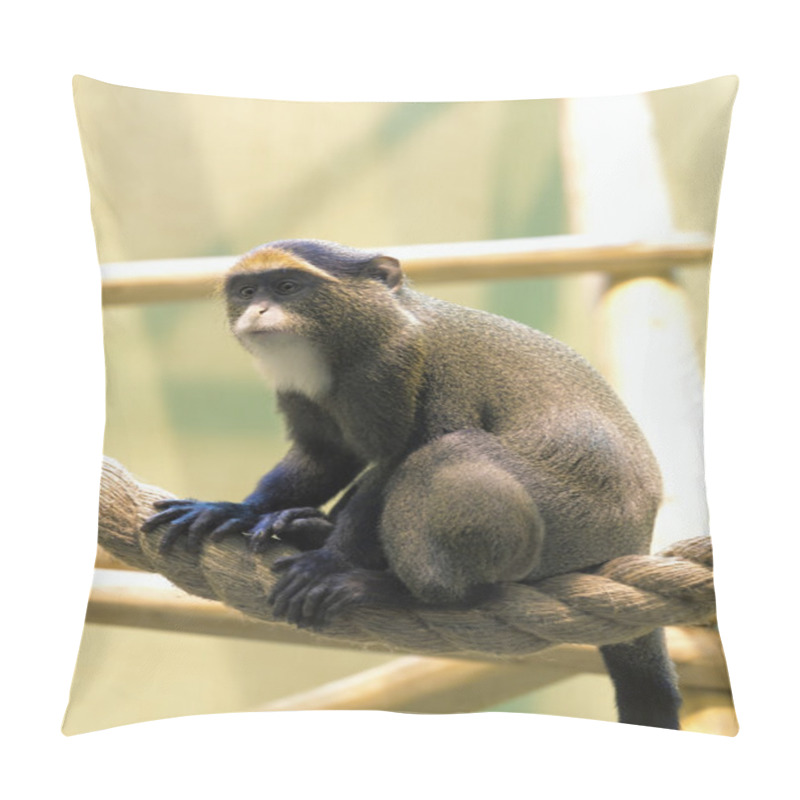 Personality  Monkey In A Zoo Pillow Covers