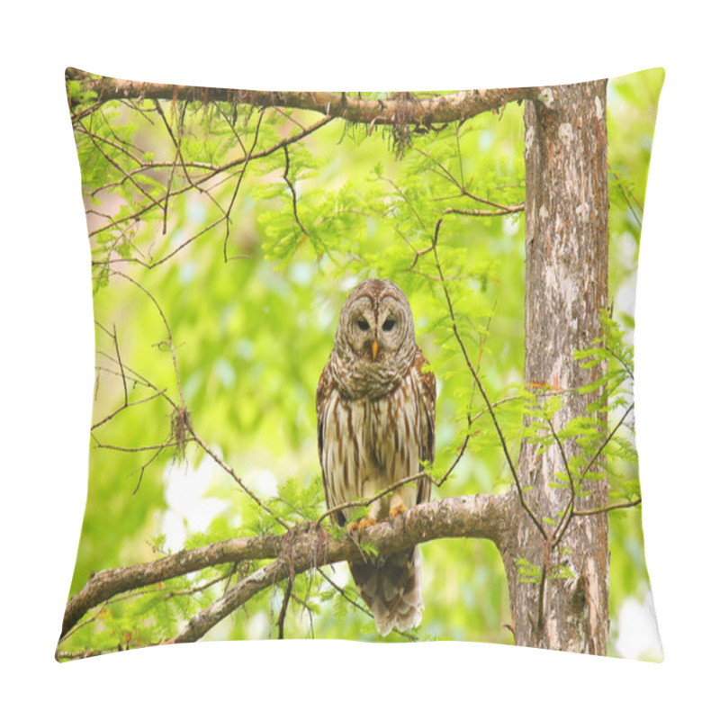 Personality  Barred Owl (Strix Varia) Sitting On A Tree Pillow Covers