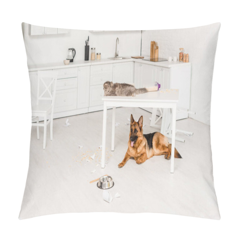 Personality  Cute And Grey Cat Lying On White Table And German Shepherd Lying On Floor In Messy Kitchen Pillow Covers