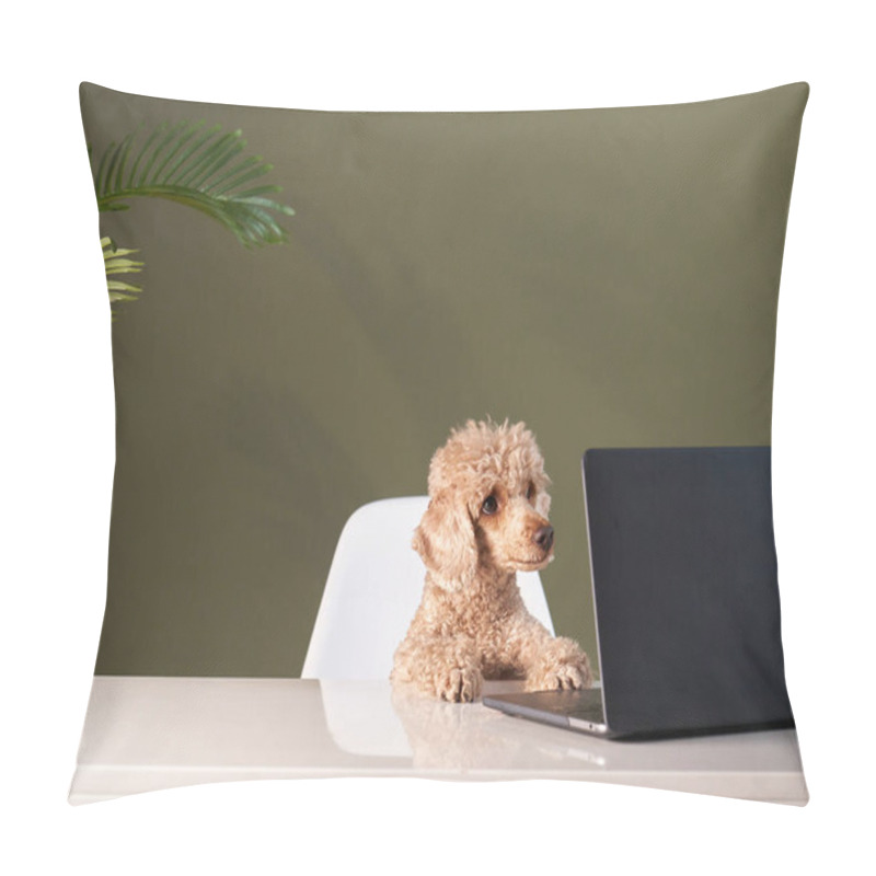 Personality  Poodle At A Work Table With A Laptop. Dog In The Office.  Pillow Covers