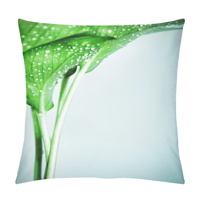 Personality  Fresh Green Leaves Pillow Covers