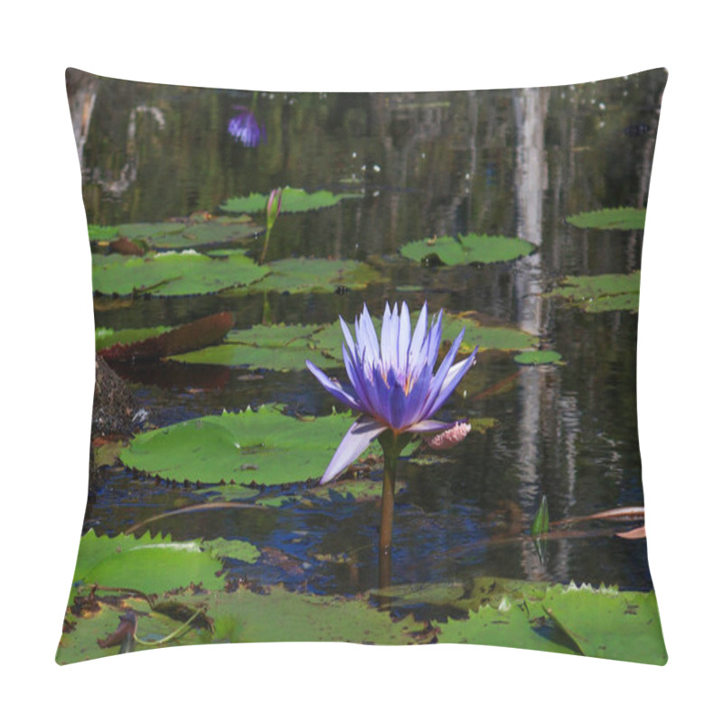 Personality  Landscape Purple Lotus Flowers At The Lotus Pond Botanical Garden Is A Tourist Attraction In Rayong Province, Thailand. Pillow Covers