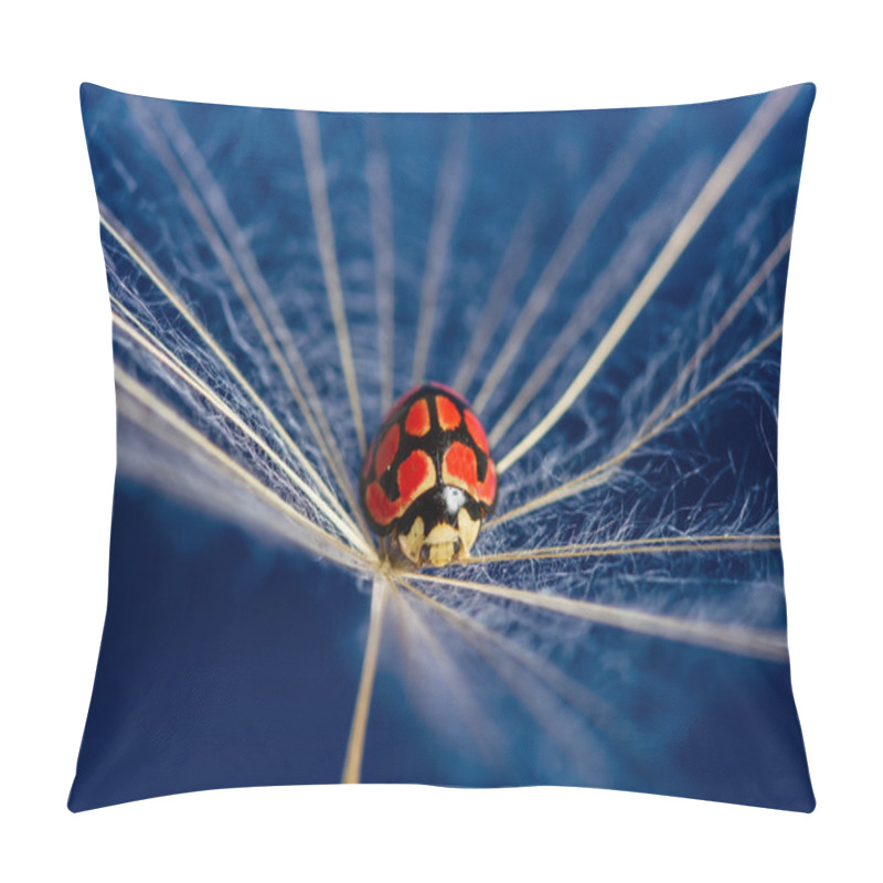 Personality  Red Lady Bug Sit On A Floating Dandoline In Bright Blue Pillow Covers