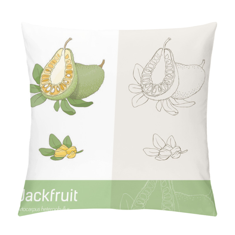 Personality  Jackfruit Section Fruit Pillow Covers