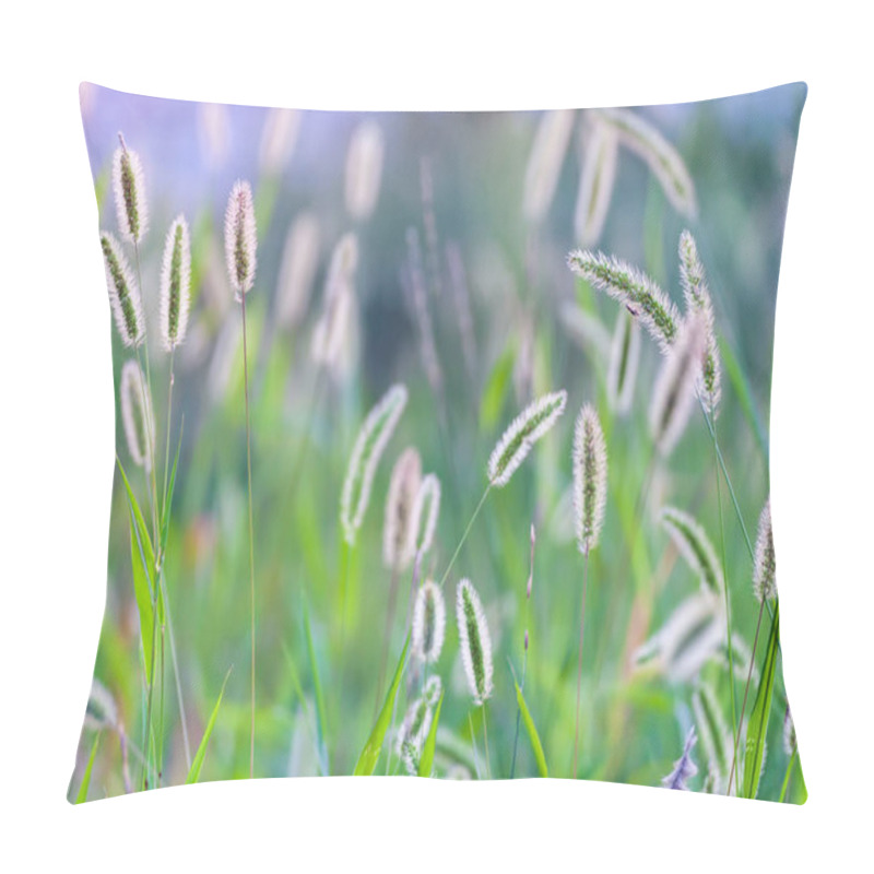 Personality  Green Foxtail. Natural Background Material. Poaceae Annual Weed. Pillow Covers