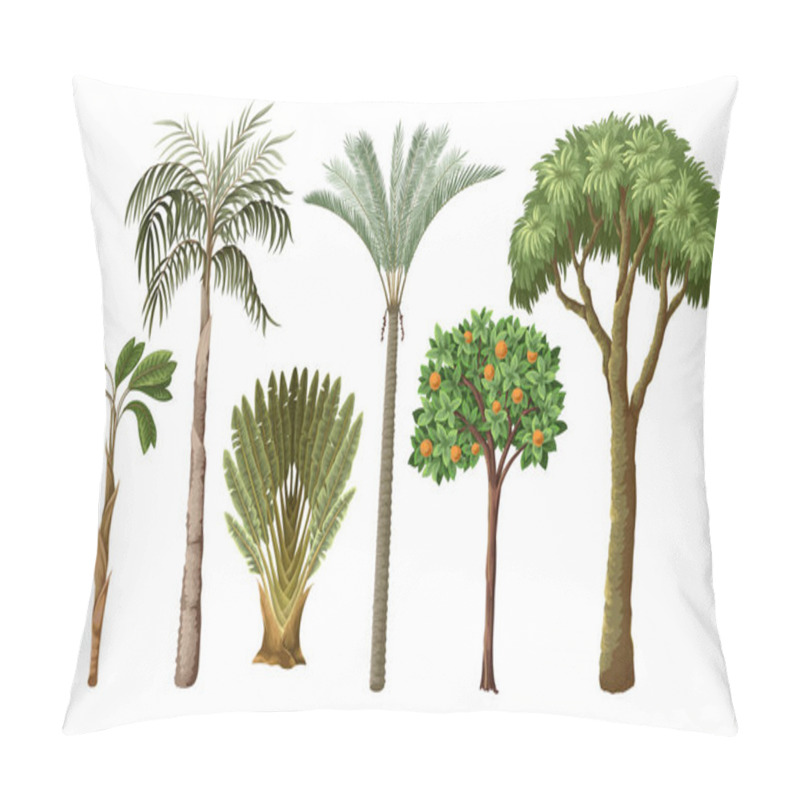 Personality  Tropical Trees Isolated. Vector Pillow Covers