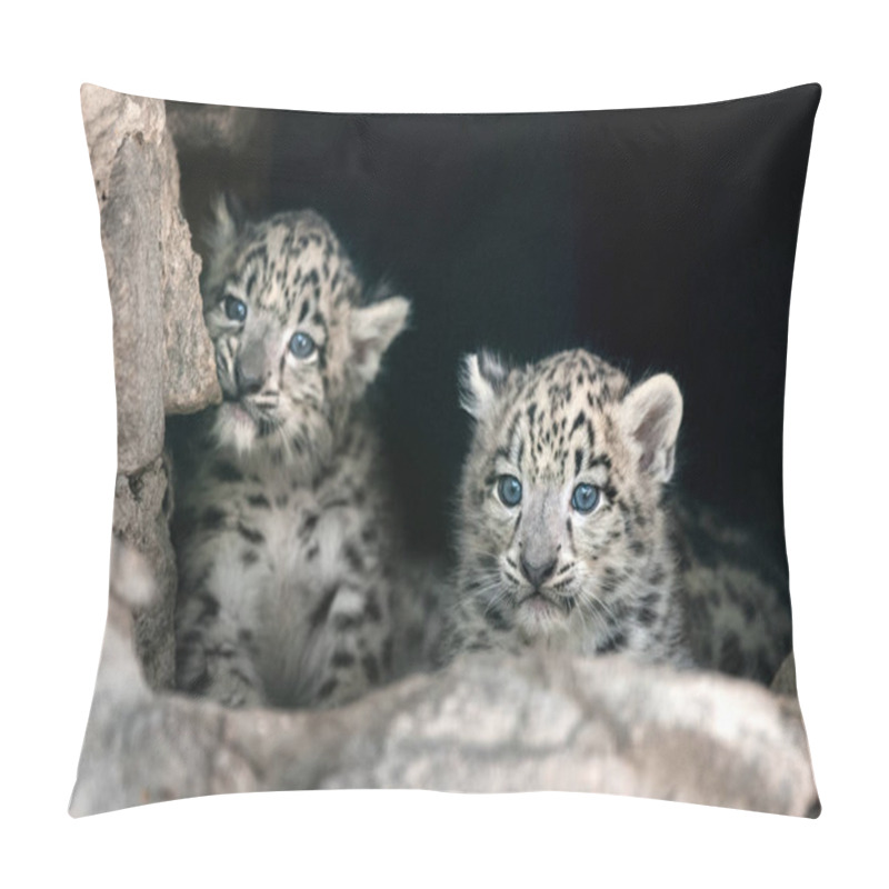 Personality  Cute  Two Snow Leopard Baby Portrait  Pillow Covers