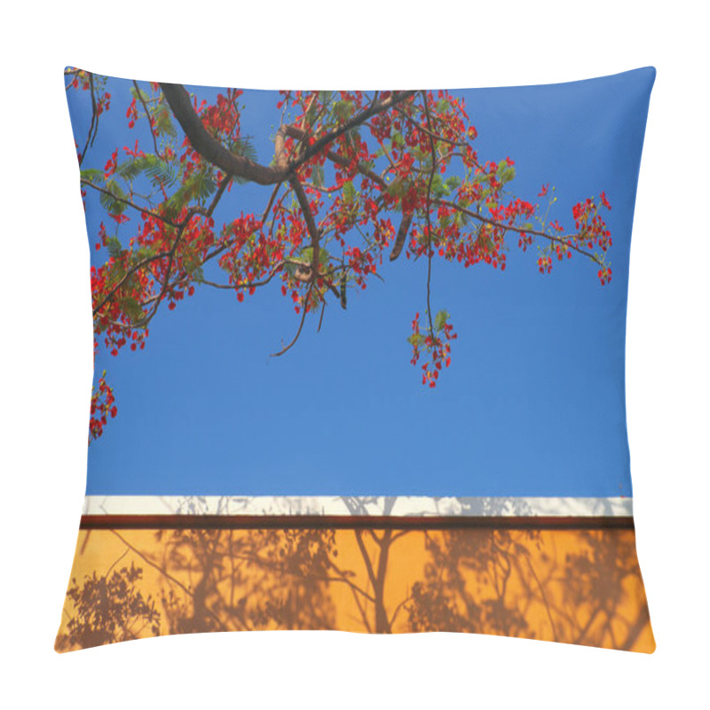 Personality  Red Summer Flower, Flamboyant Make Shadow On Yellow Wall On Blue Pillow Covers